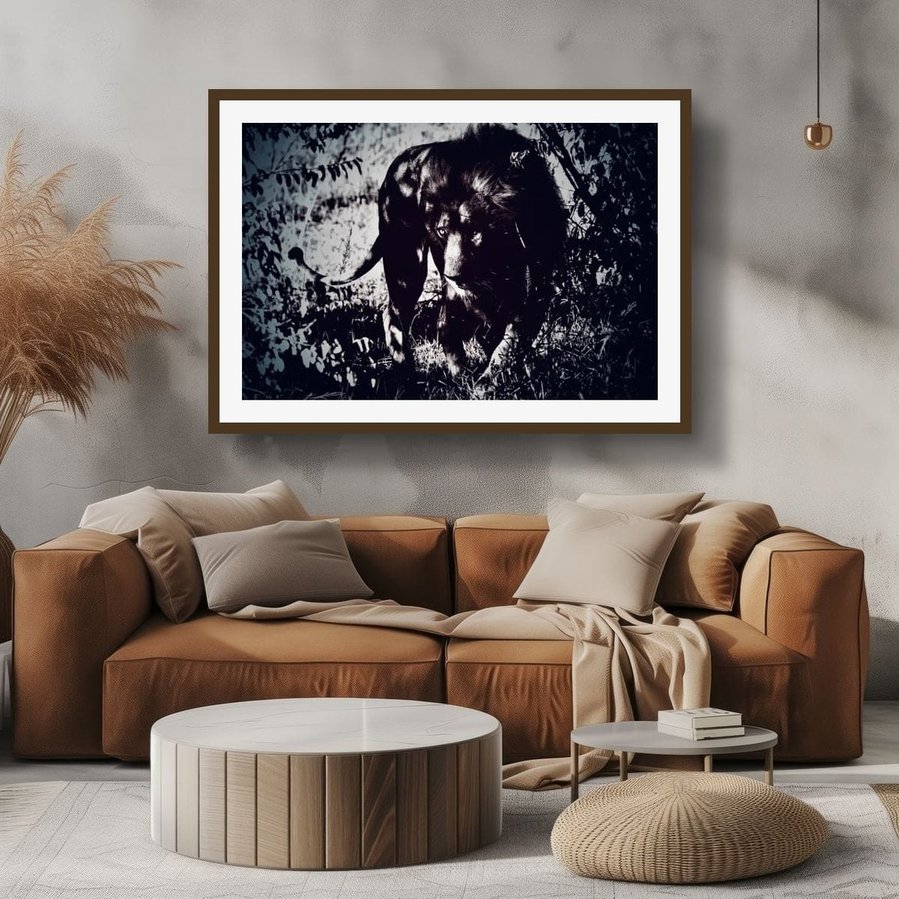 Black and white photograph of a male lion moving stealthily through the Maasai Mara bush. Striking shadows, intense gaze, and powerful presence create a dramatic wildlife fine art piece.