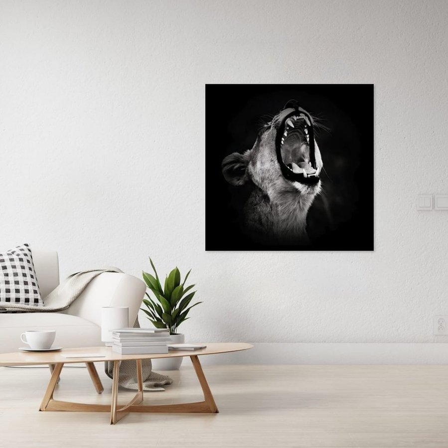 Powerful black and white side-profile photograph of a lioness mid-roar. Captured against a dark backdrop, this fine art wildlife image highlights her muscular form, fierce expression, and primal energy—an emotive portrait of strength and wild beauty.