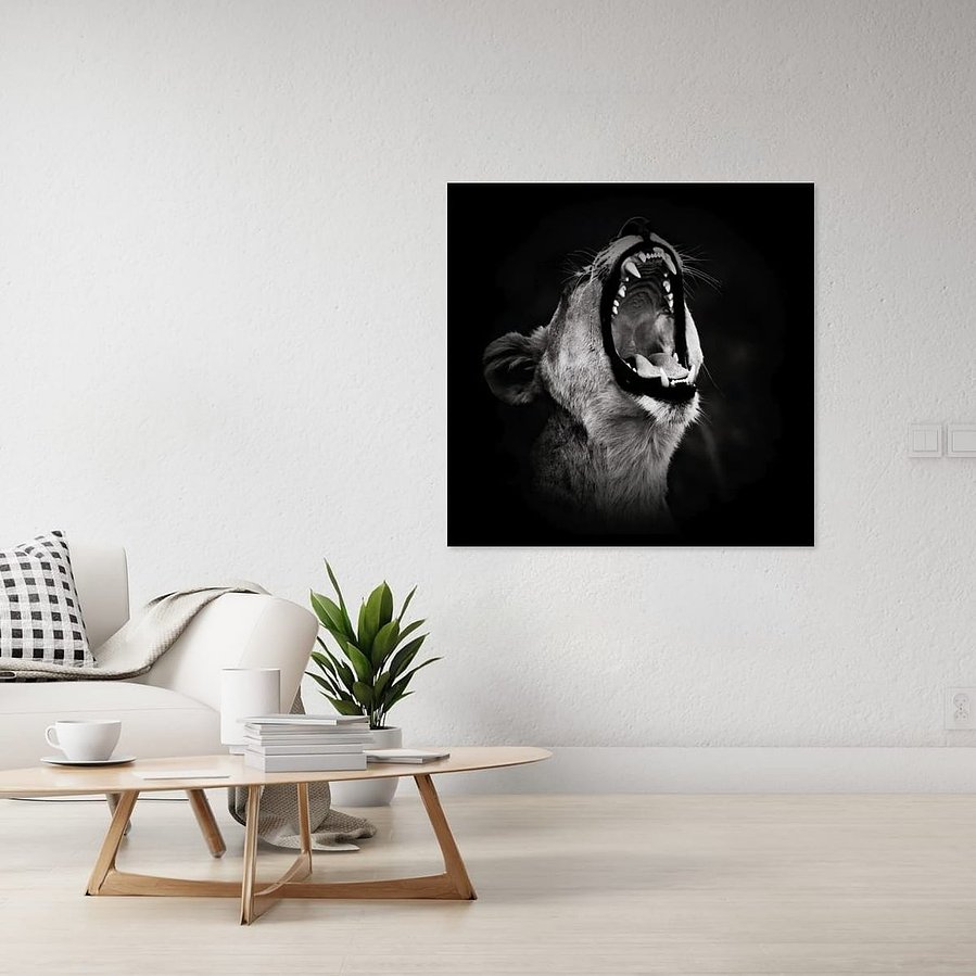 Powerful black and white side-profile photograph of a lioness mid-roar. Captured against a dark backdrop, this fine art wildlife image highlights her muscular form, fierce expression, and primal energy—an emotive portrait of strength and wild beauty.