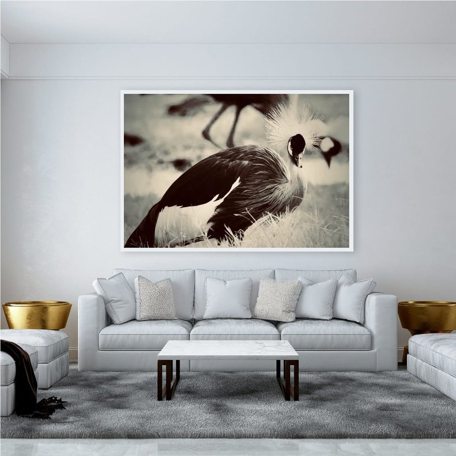 A striking portrait of Uganda’s national bird, captured in an intense, direct gaze. Its sharp eyes and intricate feathers showcase the wild beauty and spirit of Uganda’s rich avian life.