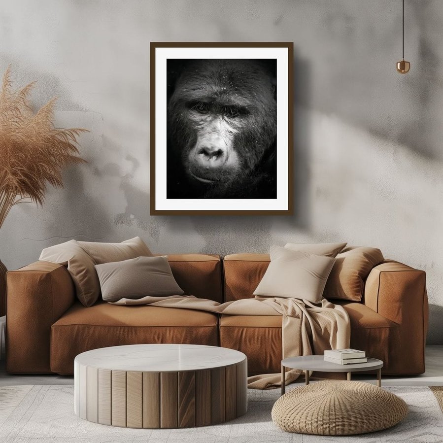 Black and white fine art portrait of a mountain gorilla, featuring soulful eye contact and dramatic contrast. A striking close-up of a silverback’s face, capturing emotional intelligence and presence in the wild.