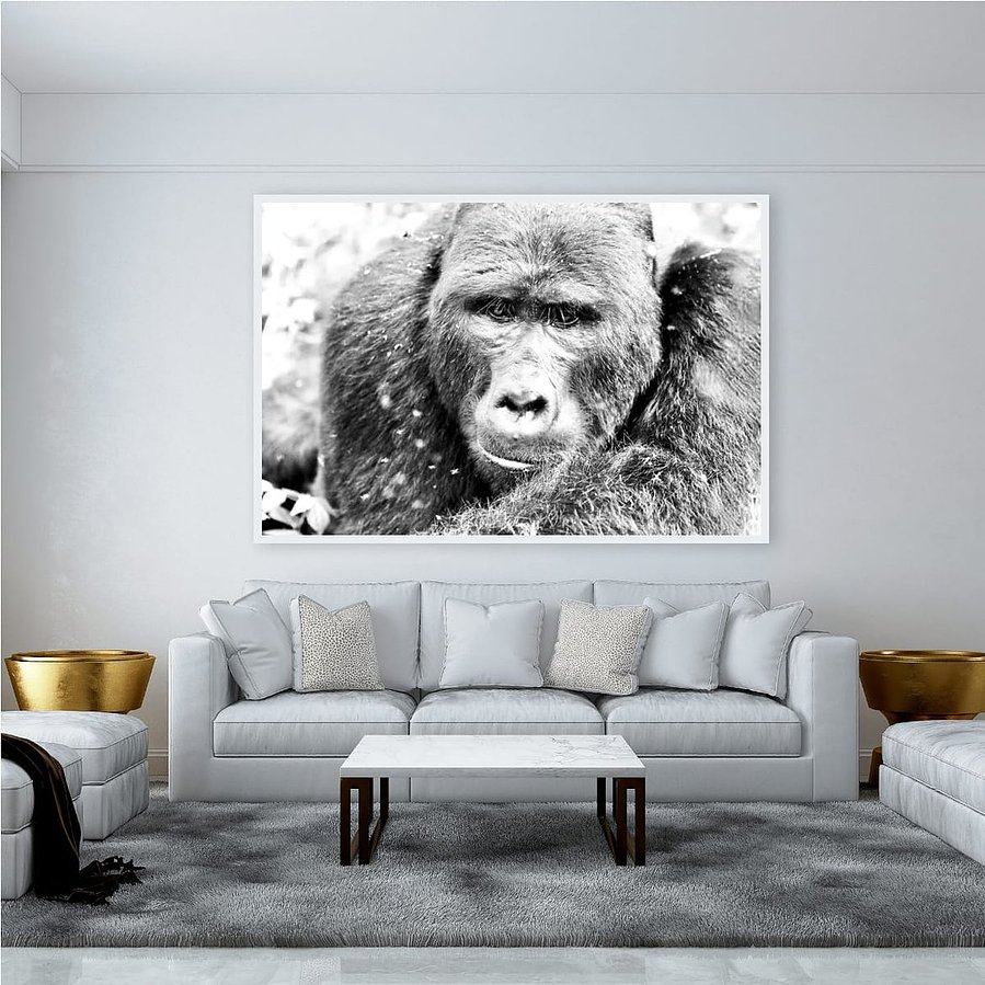Original black and white portrait of a silverback mountain gorilla. Captured in the Bwindi Forest, this one-of-a-kind artwork reveals the emotional depth, gentleness, and sentient stillness of an endangered gorilla.
