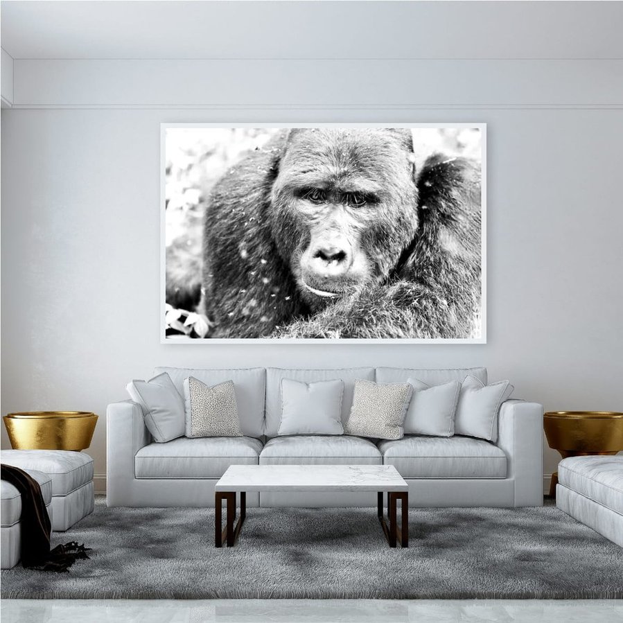 Original black and white portrait of a silverback mountain gorilla. Captured in the Bwindi Forest, this one-of-a-kind artwork reveals the emotional depth, gentleness, and sentient stillness of an endangered gorilla.