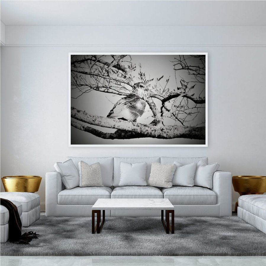 Black and white fine art wildlife photograph of a camouflaged bird of prey, perched within the branches of a tree. The powerful raptor blends into the natural textures, highlighting the beauty of avian stillness, stealth, and the elegance of camouflage