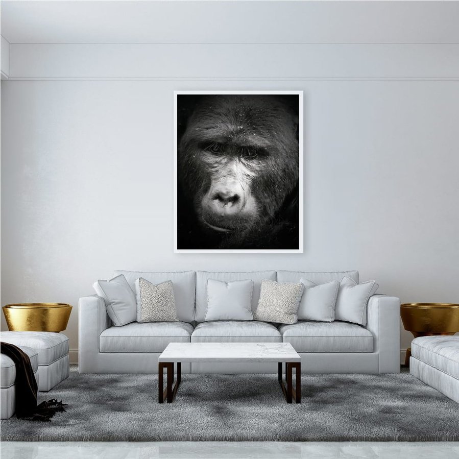 Black and white fine art portrait of a mountain gorilla, featuring soulful eye contact and dramatic contrast. A striking close-up of a silverback’s face, capturing emotional intelligence and presence in the wild.