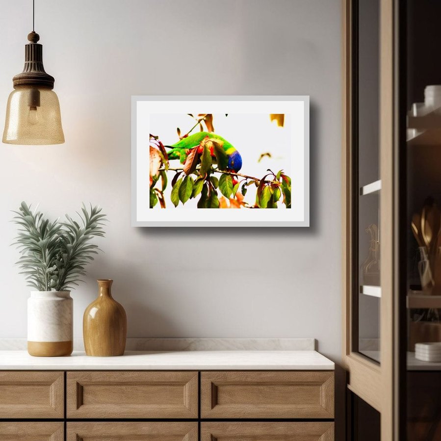 Nestled in the branches of a plum tree, this rainbow lorikeet bows low into the foliage, foraging for fruit with vibrant purpose. Its feathers—an electric blaze of green, blue, and flame—in a white frame with border.