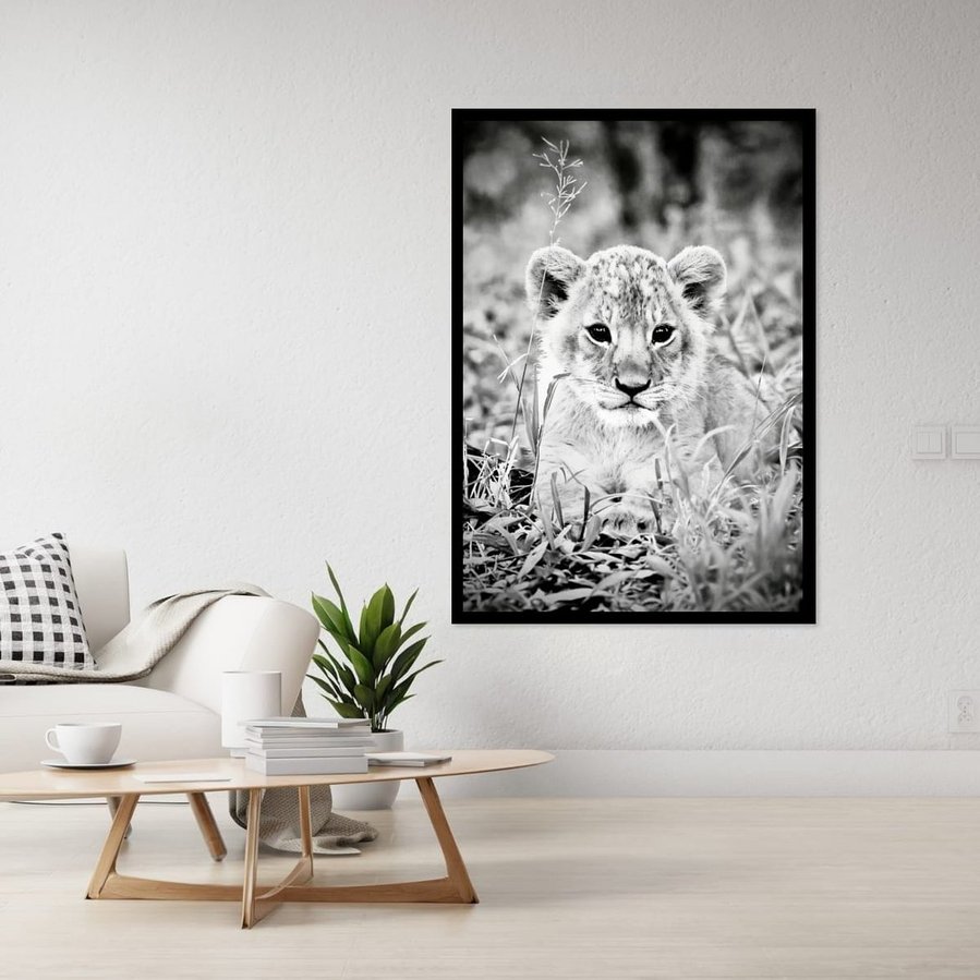 Black and white fine art wildlife portrait of a young lion cub sitting in the grass, gazing directly into the camera with wide, expressive eyes. A powerful blend of innocence, curiosity, and early strength.