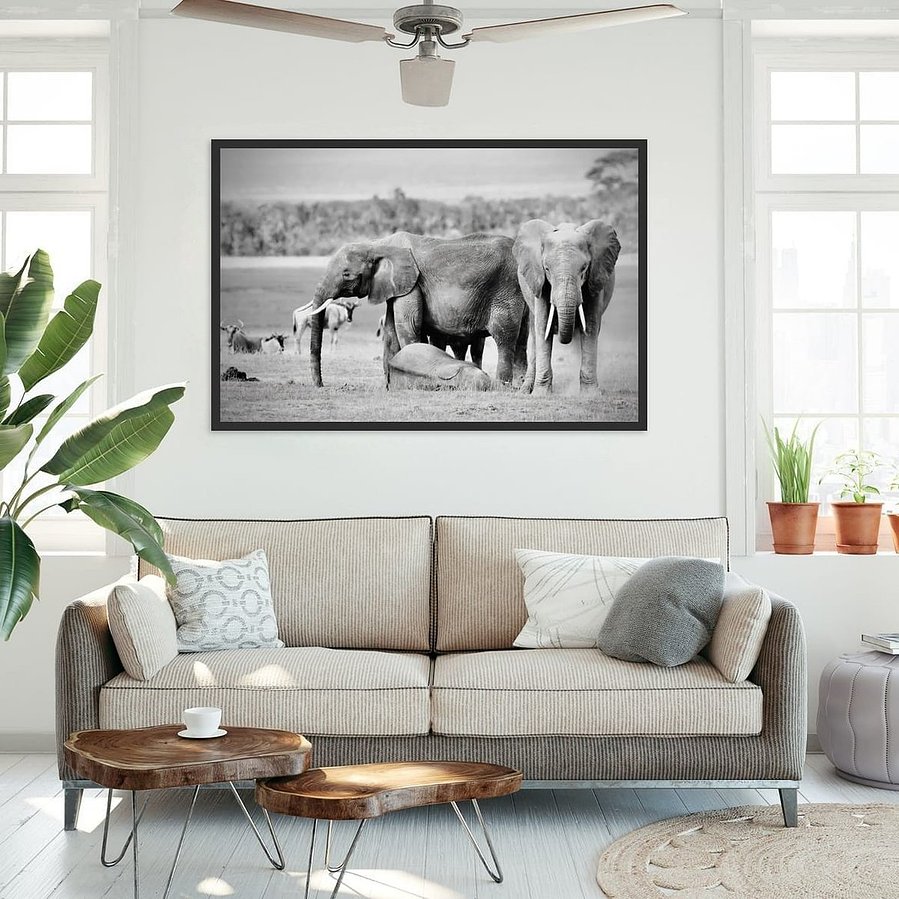 Black and white image of a baby elephant lying down to sleep in the Amboseli savannah, with her mother and matriarch standing protectively on either side in strong, watchful poses.
