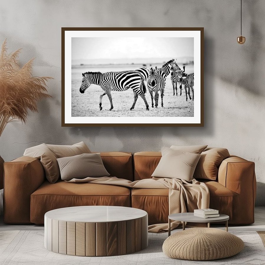 Black and white zebra photography featuring a bold stare and crisp stripes. A striking fine art wildlife print from the African plains