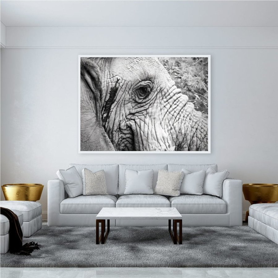 Black and white close-up of an elephant, highlighting its textured skin and soulful eyes. This striking monochrome wildlife photograph captures the wisdom and strength of this majestic creature with stunning detail and contrast.