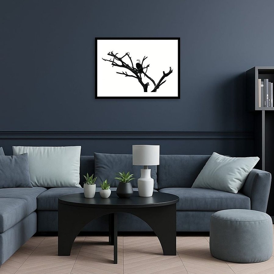 Black and white photograph of an African fish eagle perched in a bare tree, surveying the horizon. Its bold silhouette and striking contrast capture the eagle’s power, elegance, and watchful presence.