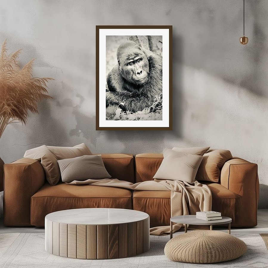 Black and white portrait image of Silverback mountain gorilla in contemplation resting on his forearms posing for the camera Bwindi Impenetrable Forest Uganda Africa