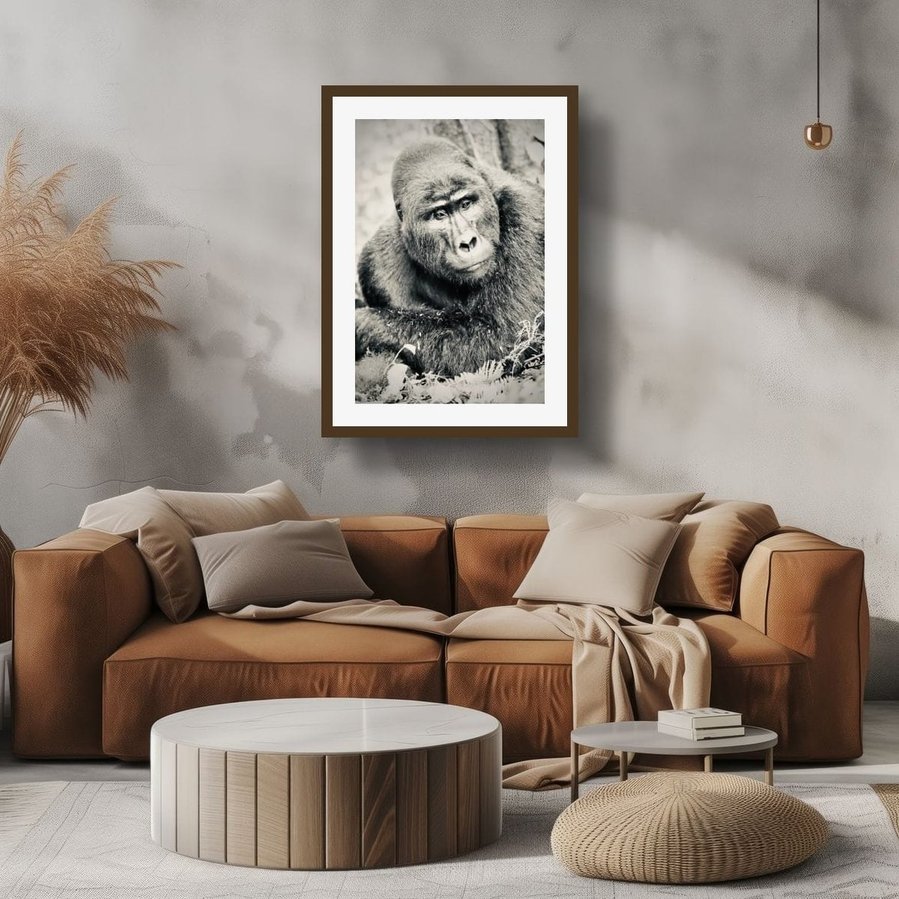 Black and white portrait image of Silverback mountain gorilla in contemplation resting on his forearms posing for the camera Bwindi Impenetrable Forest Uganda Africa