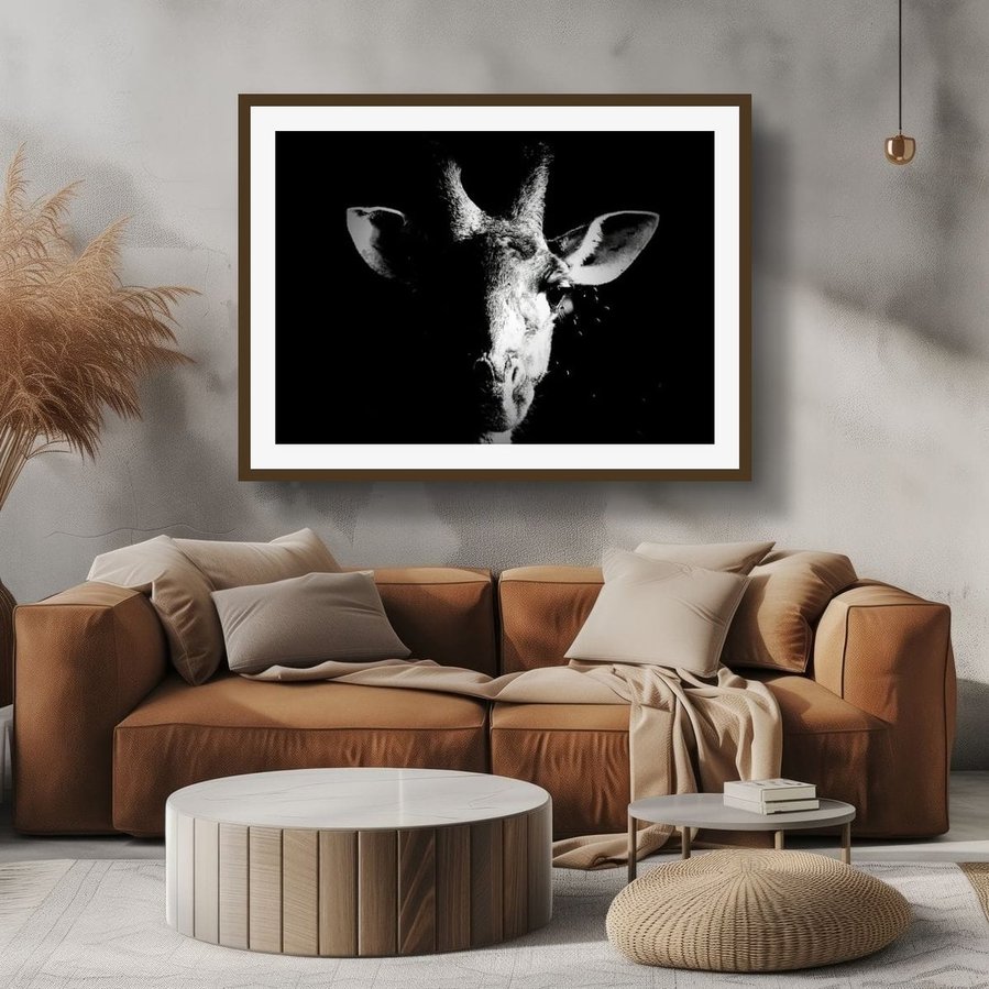 A close-up black and white portrait of a giraffe, with half its face in shadow against a dark background. This dramatic wildlife photograph highlights the giraffe’s graceful features, intricate patterns, and striking contrast between light and darkness.