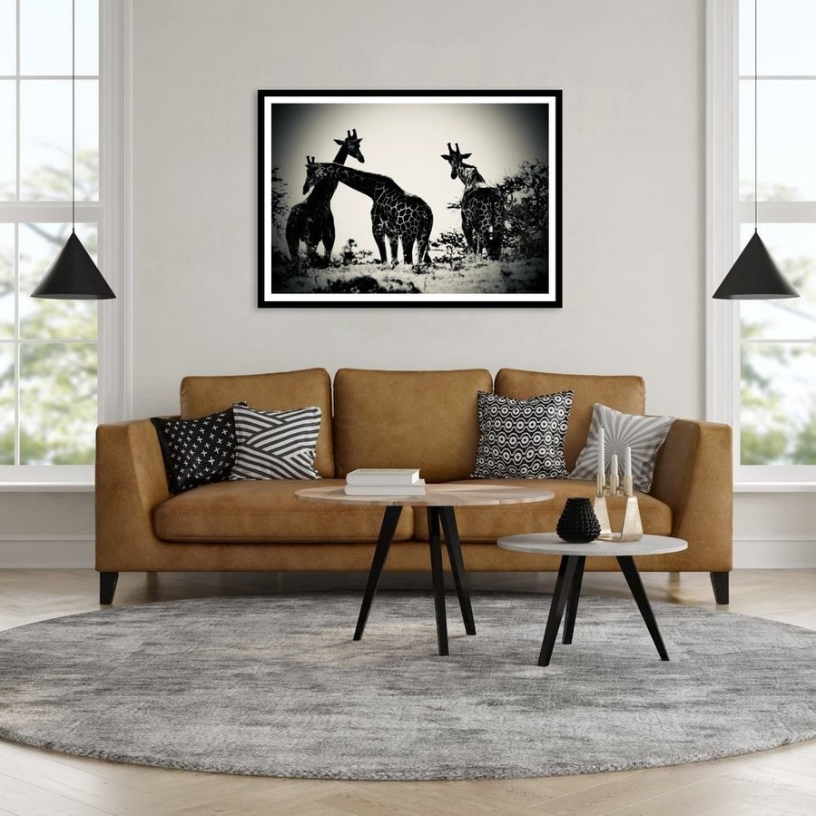 Black and white fine art photograph of three giraffes in silhouette, captured in the wild. One giraffe leans across another in a moment of connection and calm. A dramatic, emotional portrayal of giraffes in the African landscape.