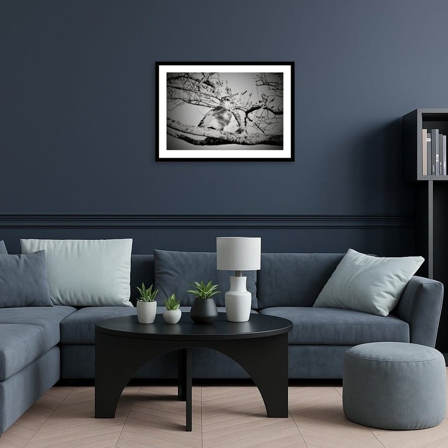 A black &  white portrait of a camouflaged bird of prey, expertly blending into the intricate branches of its perch. Its sharp eyes and powerful stance highlight the silent precision of nature’s hunters, showcasing the beauty & mastery of avian camouflage