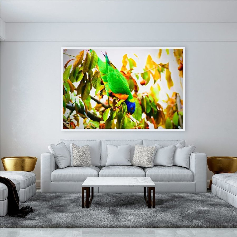 Rainbow lorikeet hanging upside down on a tree branch, surrounded by golden leaves and sunlit fruit. The bird’s vivid green, blue, and orange feathers contrast against the warm autumn tones, capturing a playful moment in nature in white frame.