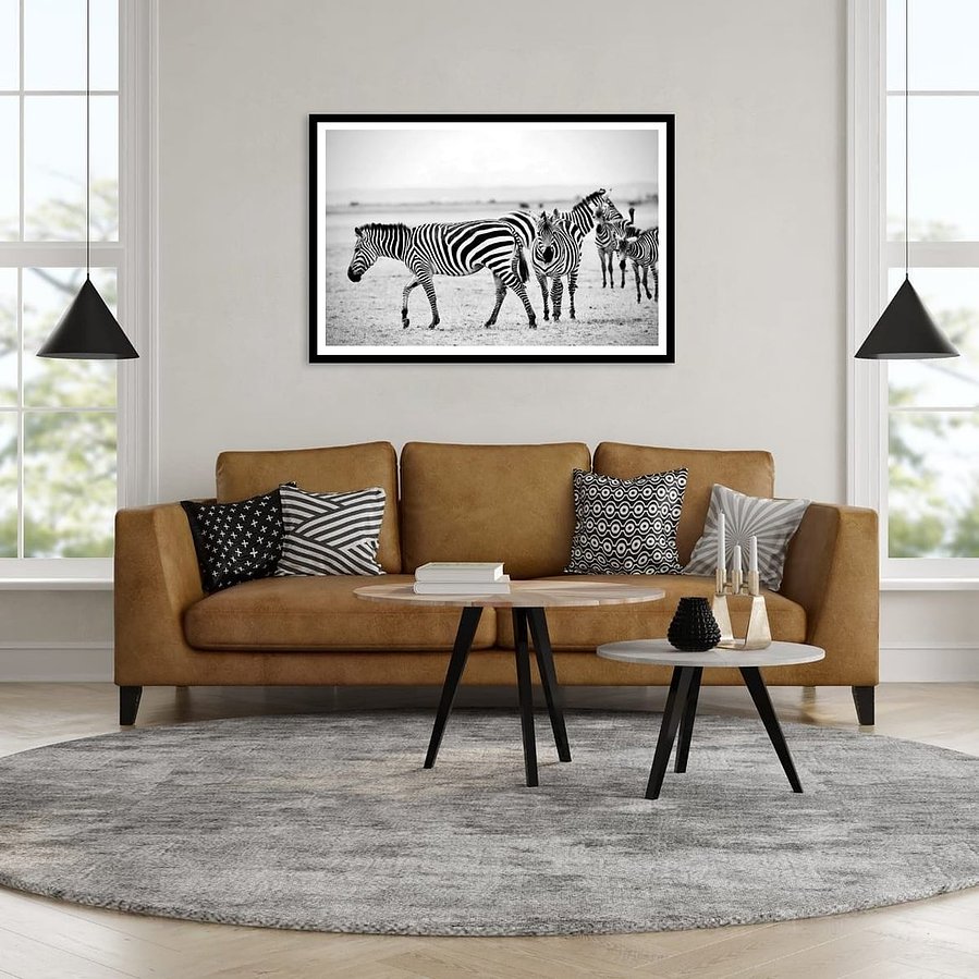 Black and white zebra photography featuring a bold stare and crisp stripes. A striking fine art wildlife print from the African plains.