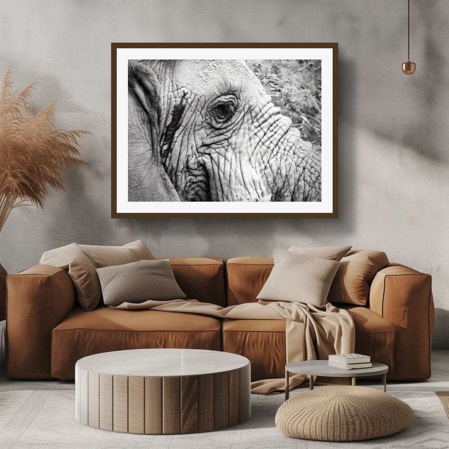Black and white close-up of an elephant, highlighting its textured skin and soulful eyes. This striking monochrome wildlife photograph captures the wisdom and strength of this majestic creature with stunning detail and contrast.