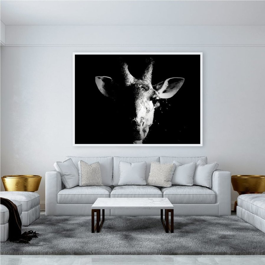 A close-up black and white portrait of a giraffe, with half its face in shadow against a dark background. This dramatic wildlife photograph highlights the giraffe’s graceful features, intricate patterns, and striking contrast between light and darkness.