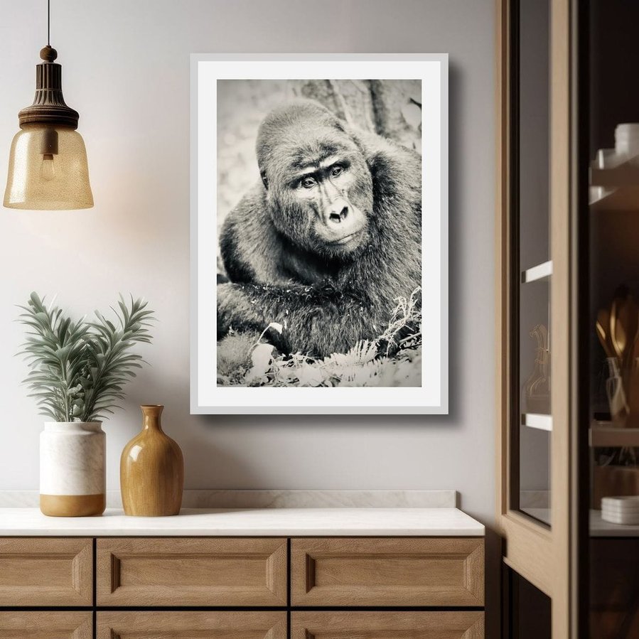 Black and white portrait image of Silverback mountain gorilla in contemplation resting on his forearms posing for the camera Bwindi Impenetrable Forest Uganda Africa