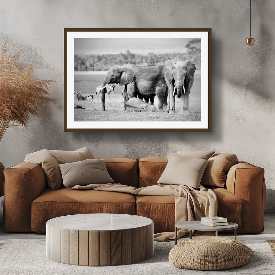 Black and white image of a baby elephant lying down to sleep in the Amboseli savannah, with her mother and matriarch standing protectively on either side in strong, watchful poses.
