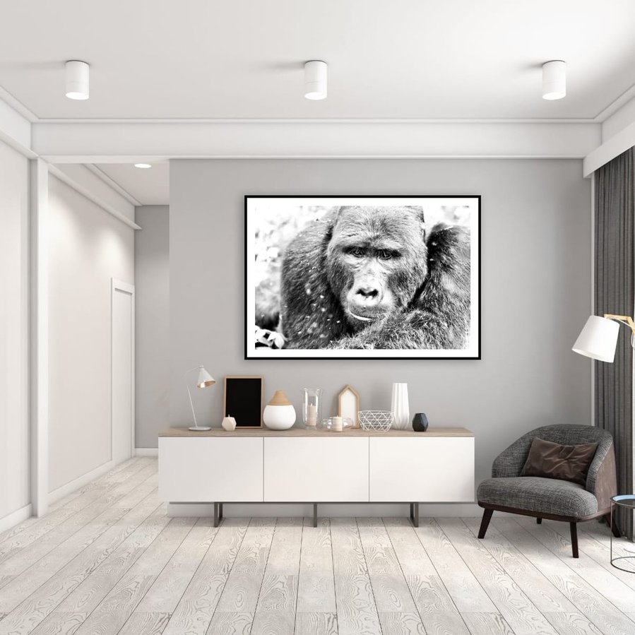 Original black and white portrait of a silverback mountain gorilla. Captured in the Bwindi Forest, this one-of-a-kind artwork reveals the emotional depth, gentleness, and sentient stillness of an endangered gorilla.