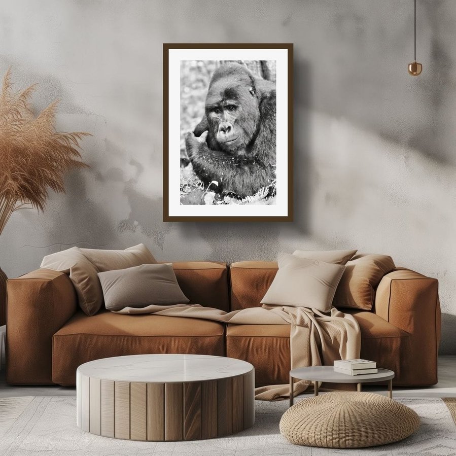 Black and white wildlife portrait of a mountain gorilla caught in a quiet moment of reflection. His soft gaze and relaxed posture evoke a sense of calm, emotional depth, and connection in this fine art photograph.