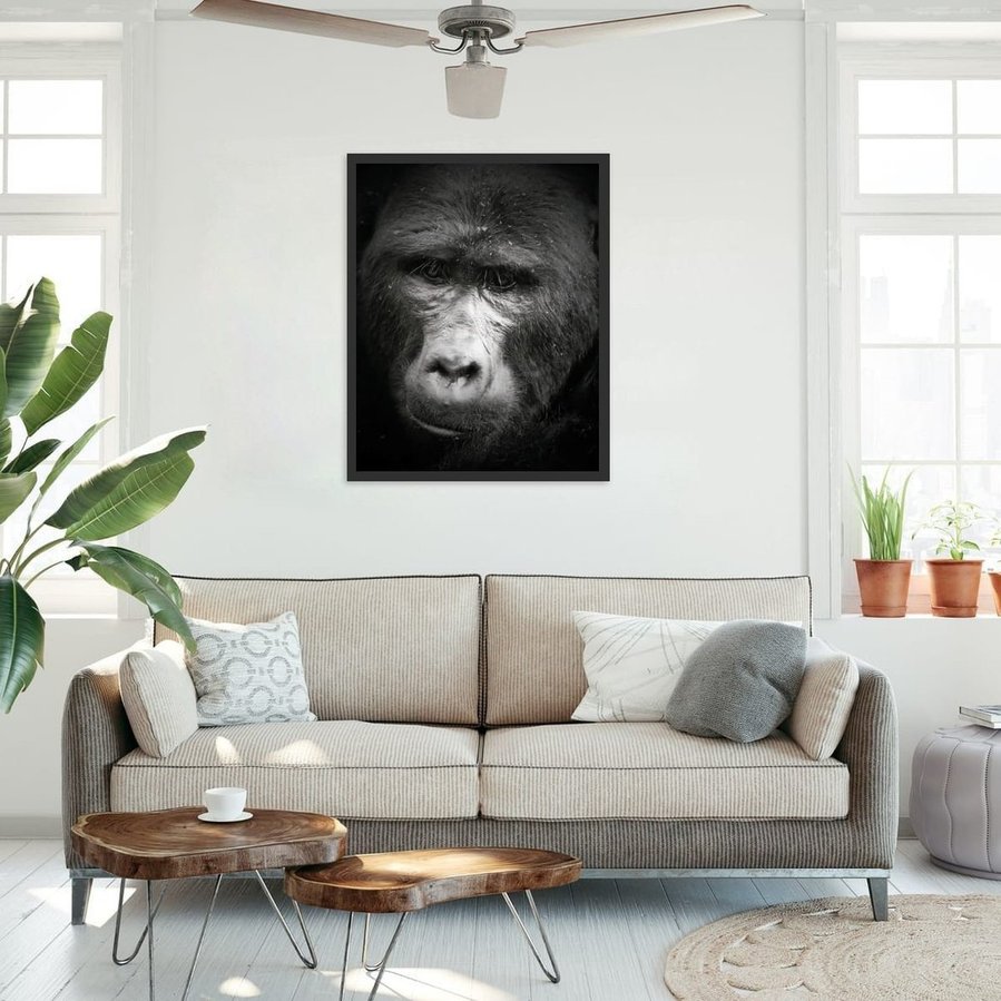 Black and white fine art portrait of a mountain gorilla, featuring soulful eye contact and dramatic contrast. A striking close-up of a silverback’s face, capturing emotional intelligence and presence in the wild.