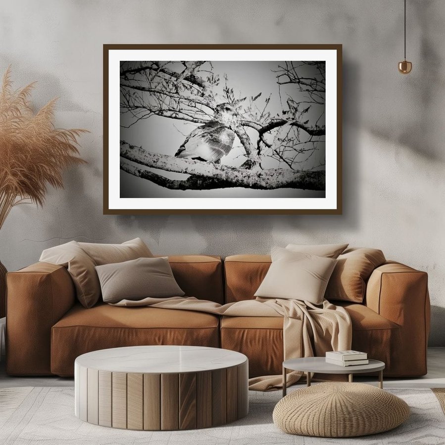 Black and white fine art wildlife photograph of a camouflaged bird of prey, perched within the branches of a tree. The powerful raptor blends into the natural textures, highlighting the beauty of avian stillness, stealth, and the elegance of camouflage.