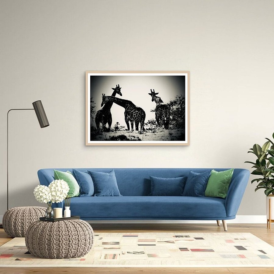 Black and white fine art photograph of three giraffes in silhouette, captured in the wild. One giraffe leans across another in a moment of connection and calm. A dramatic, emotional portrayal of giraffes in the African landscape.