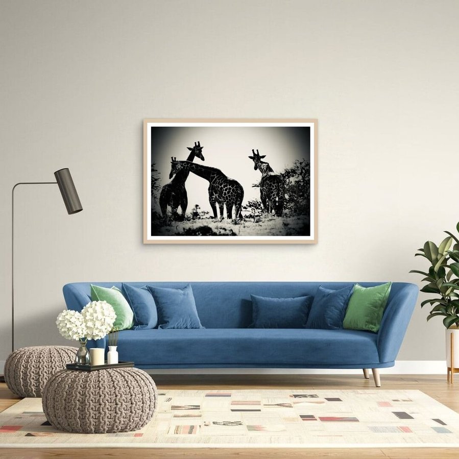 Black and white fine art photograph of three giraffes in silhouette, captured in the wild. One giraffe leans across another in a moment of connection and calm. A dramatic, emotional portrayal of giraffes in the African landscape.
