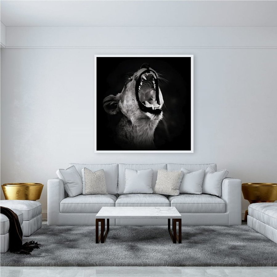 Powerful black and white side-profile photograph of a lioness mid-roar. Captured against a dark backdrop, this fine art wildlife image highlights her muscular form, fierce expression, and primal energy—an emotive portrait of strength and wild beauty.