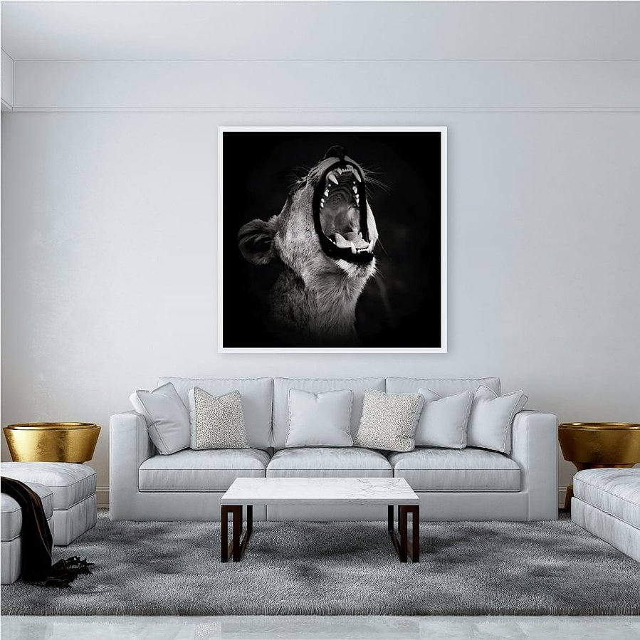 Powerful black and white side-profile photograph of a lioness mid-roar. Captured against a dark backdrop, this fine art wildlife image highlights her muscular form, fierce expression, and primal energy—an emotive portrait of strength and wild beauty.
