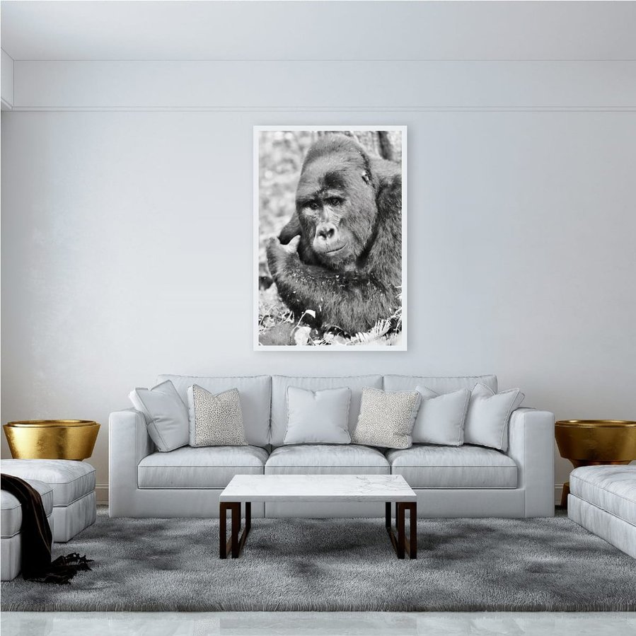 Black and white wildlife portrait of a mountain gorilla caught in a quiet moment of reflection. His soft gaze and relaxed posture evoke a sense of calm, emotional depth, and connection in this fine art photograph.