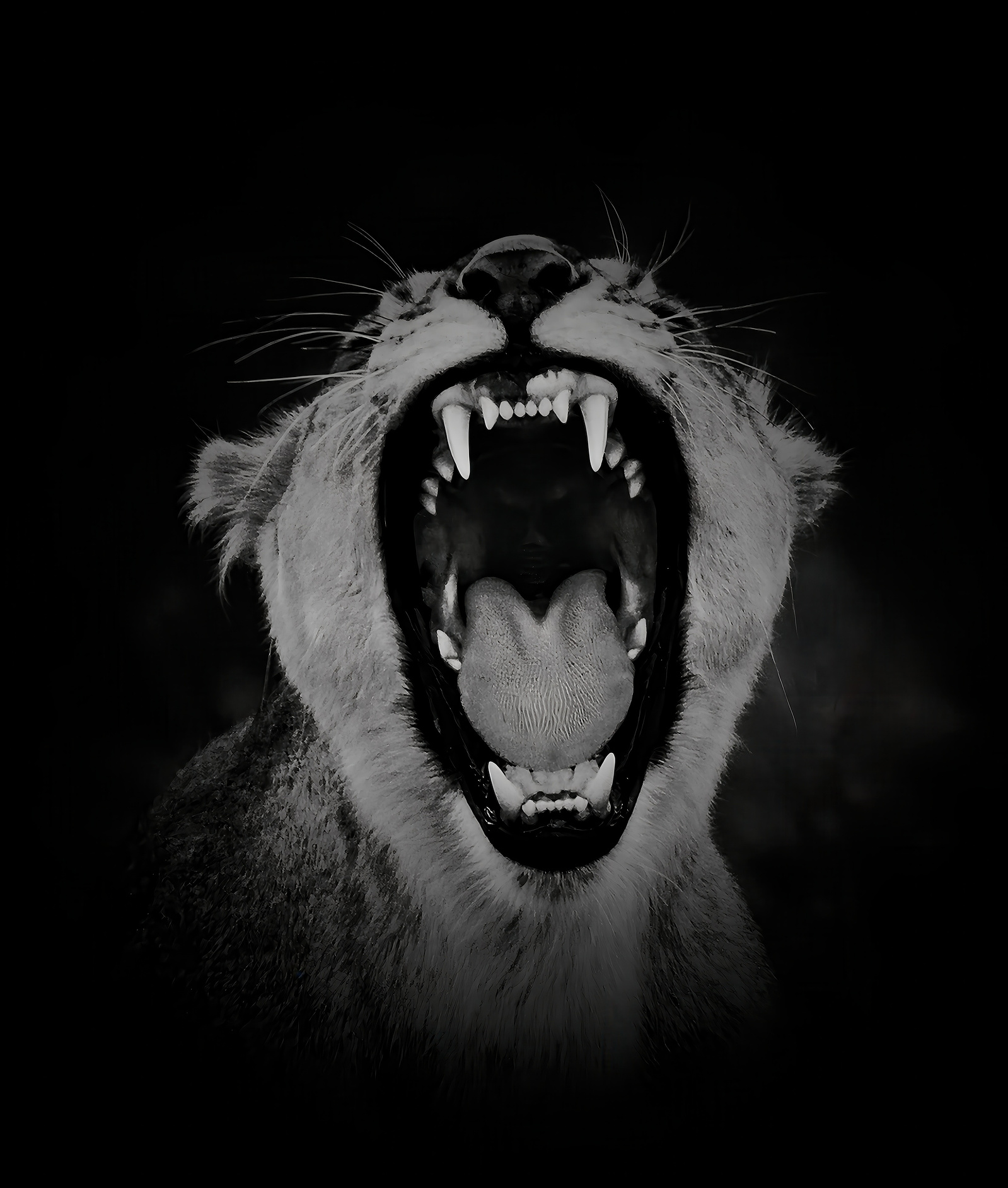 A dramatic black and white front-facing portrait of a lioness mid-roar, her mouth wide open and tongue curled forward beneath sharp teeth. The image captures raw strength and primal energy with sculptural intensity and cinematic light.