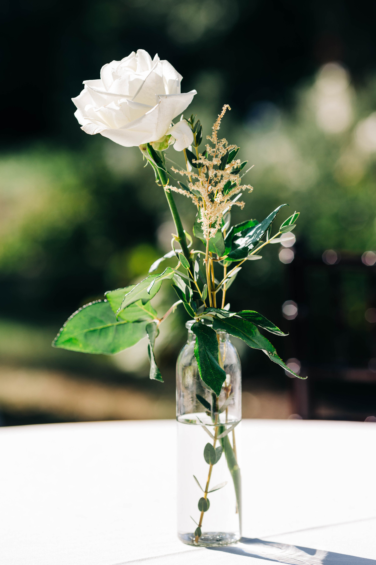 bartram's garden philadelphia lgbtq wedding photography