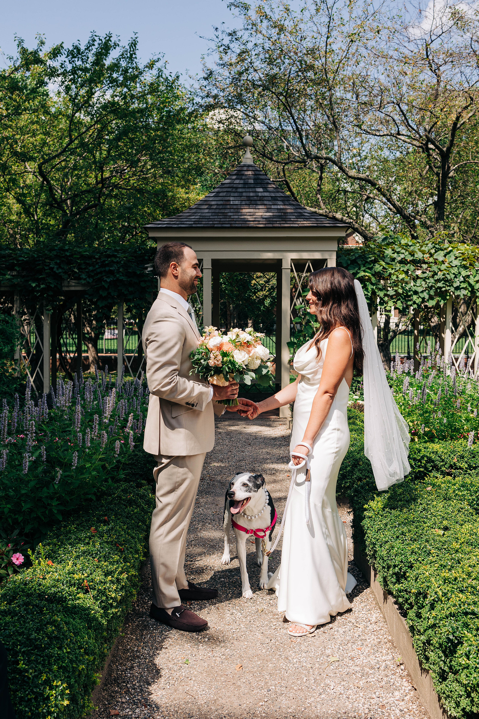 bride and groom with their dog on their wedding day in old city philadelphia at the 18th century garden philadelphia wedding photographer