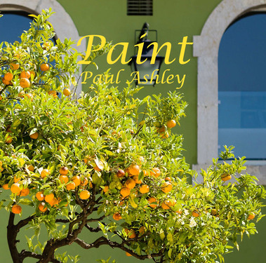 Paint on issuu.com
