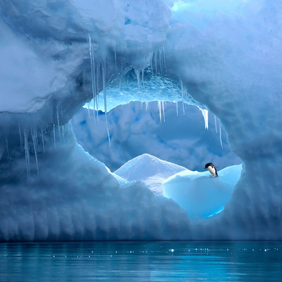 Antarctica