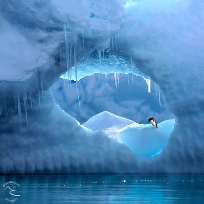 Antarctica