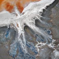 NZIPP Silver Landscape