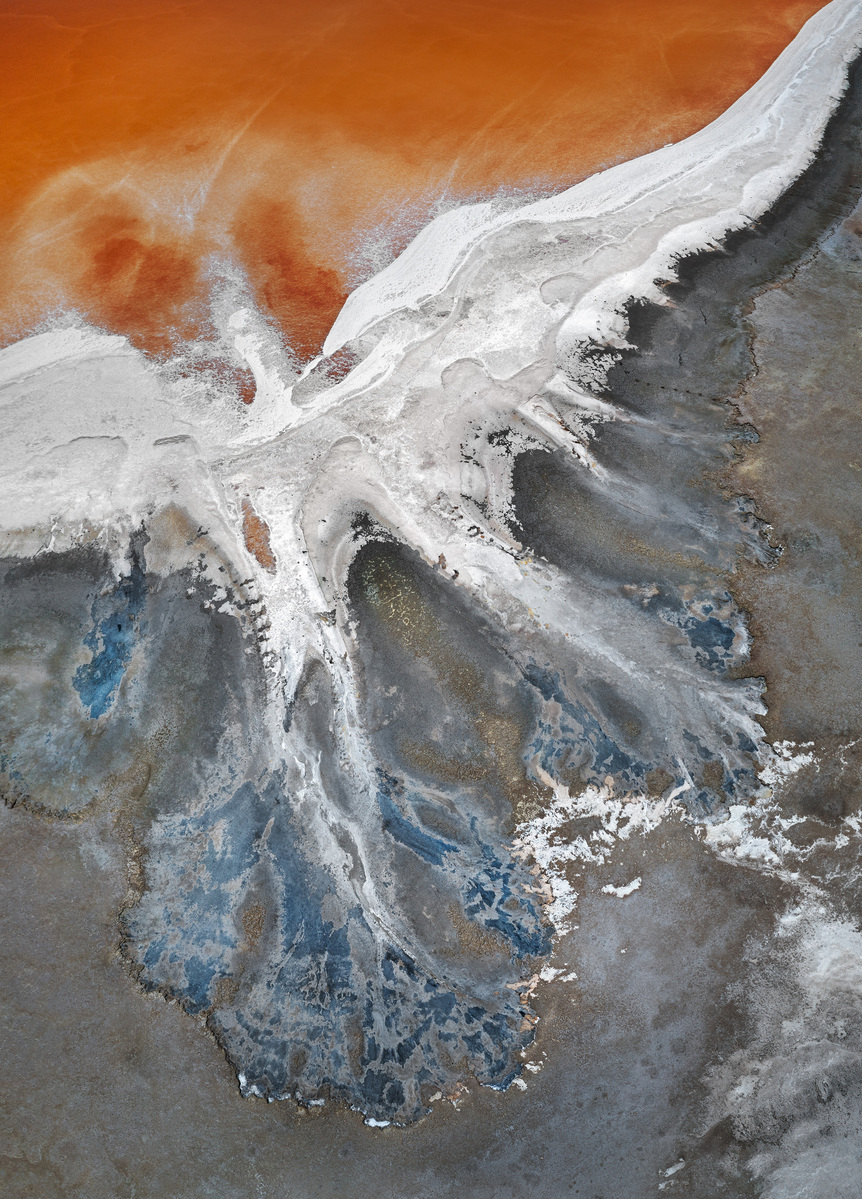 NZIPP Silver Landscape