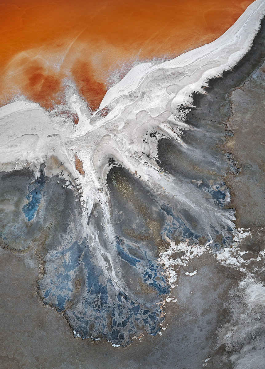 NZIPP Silver Landscape