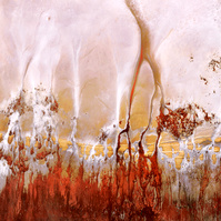 NZIPP Silver Distinction