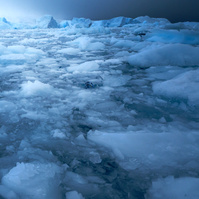 Brash Ice