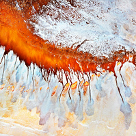 NZIPP Silver Landscape