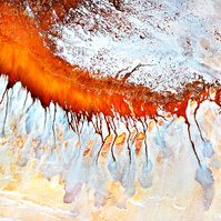 NZIPP Silver Landscape