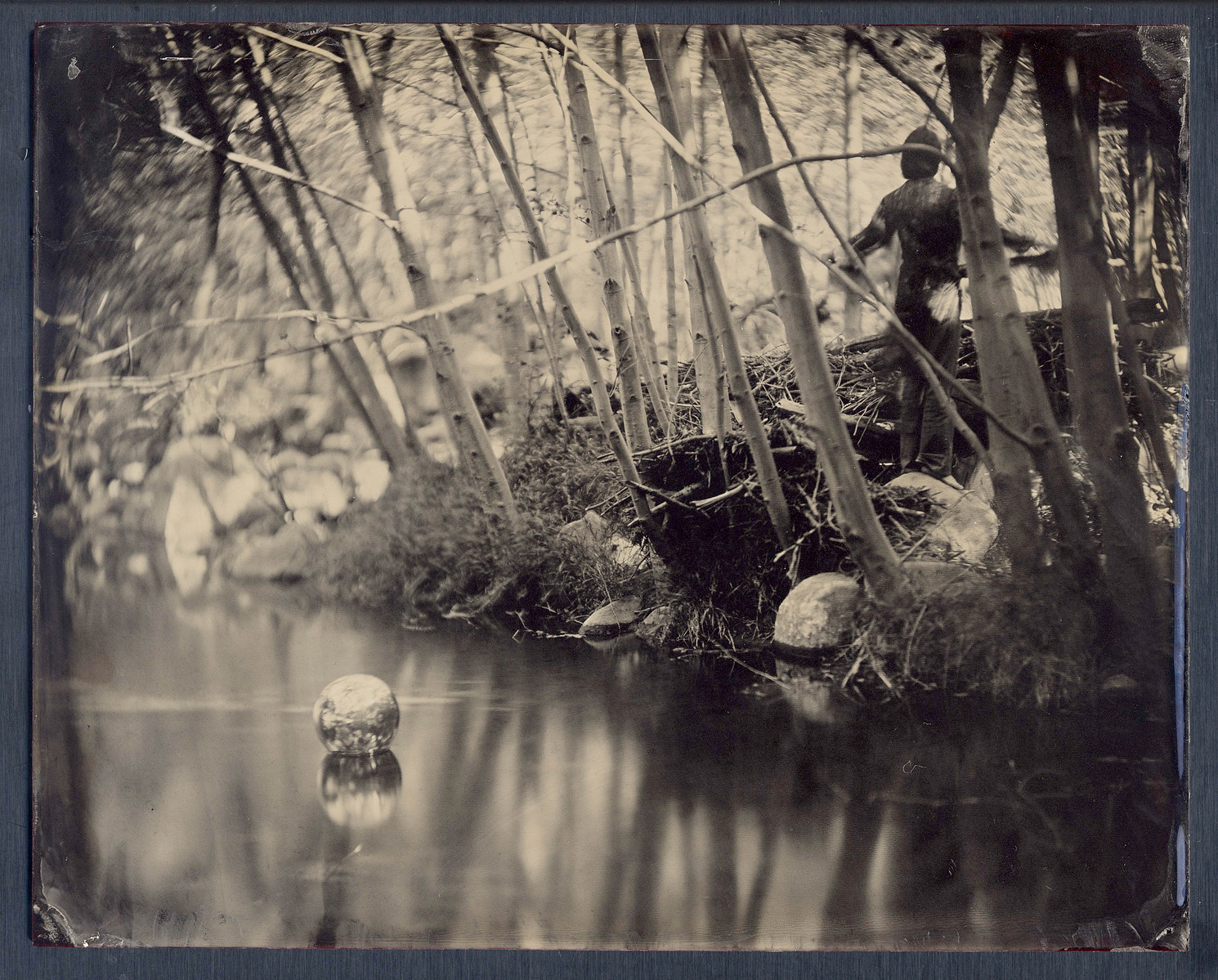 wet plate portrait artist
