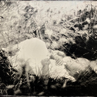 wet plate portrait fine art